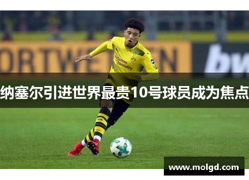 纳塞尔引进世界最贵10号球员成为焦点