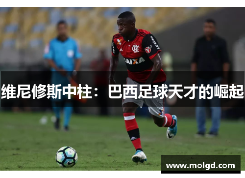 维尼修斯中柱：巴西足球天才的崛起